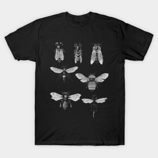 Bees and Wasp T-Shirt